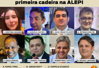 Conheça 19 nomes que buscam sua primeira cadeira na ALEPI