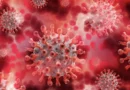 Pandemia acelerou envelhecimento cerebral até em pessoas que não tiveram covid, diz estudo