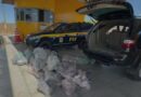PRF apreende mercadorias sem nota avaliadas em R$ 94 mil no Piauí