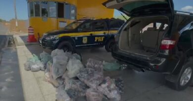 PRF apreende mercadorias sem nota avaliadas em R$ 94 mil no Piauí