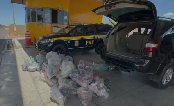 PRF apreende mercadorias sem nota avaliadas em R$ 94 mil no Piauí