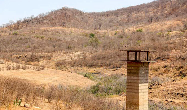 Piauí volta a registrar seca extrema após sete anos; 22,2% do território está sob impacto severo