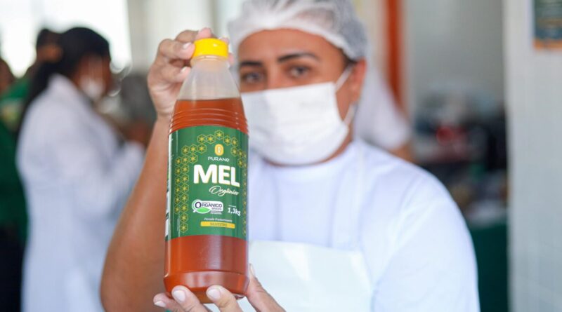 Mel piauiense entra na merenda escolar e impulsiona produção local afetada por tarifas