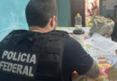 PF deflagra operação para combater ataques cibernéticos contra a UFPI